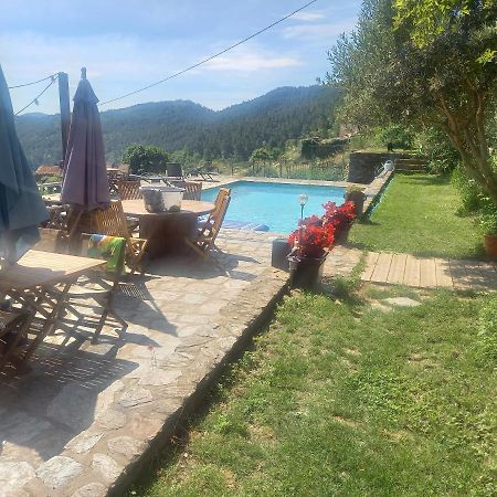 Le Mercou En Cevennes Saint-Martin-de-Boubaux Eksteriør billede