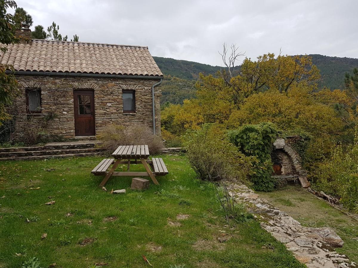 Le Mercou En Cevennes Saint-Martin-de-Boubaux Eksteriør billede