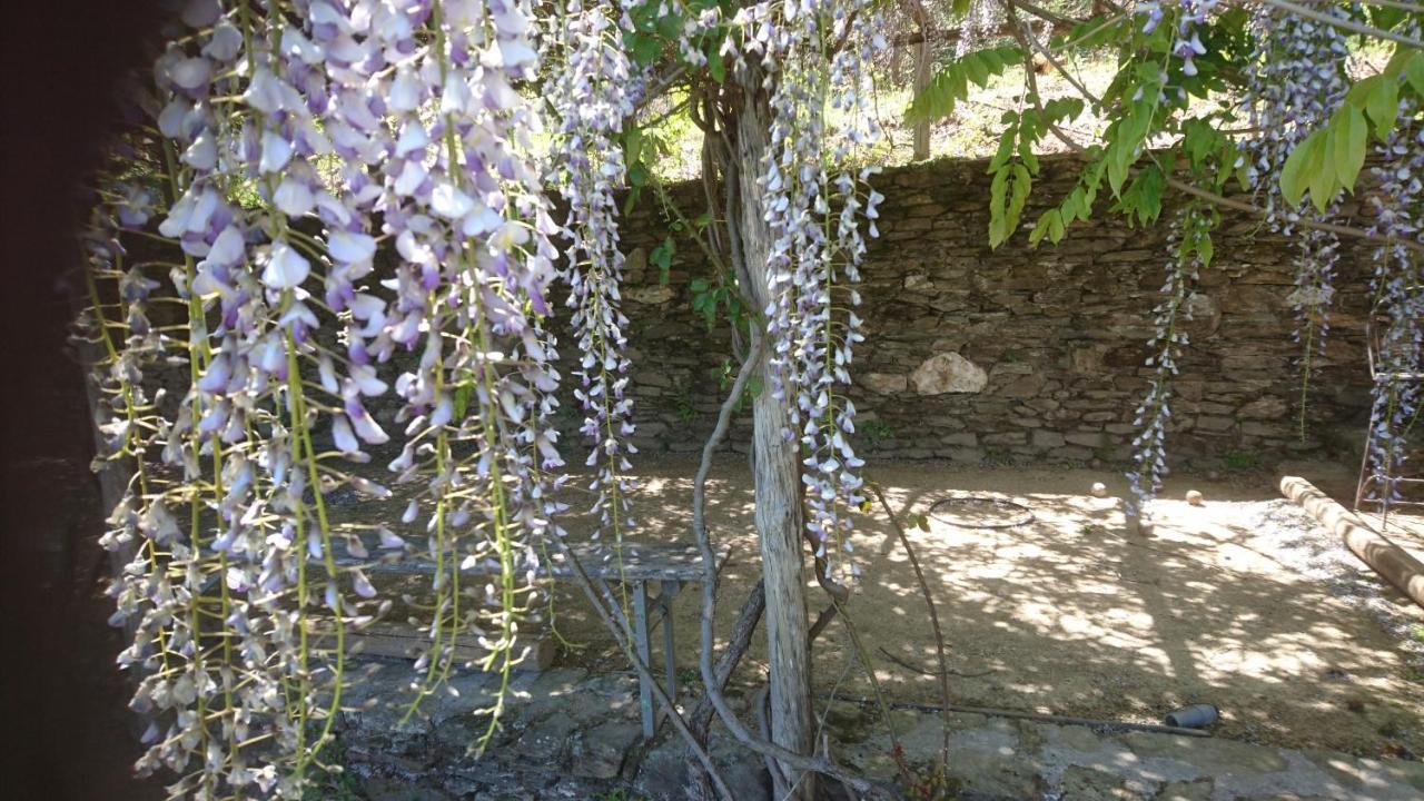 Le Mercou En Cevennes Saint-Martin-de-Boubaux Eksteriør billede