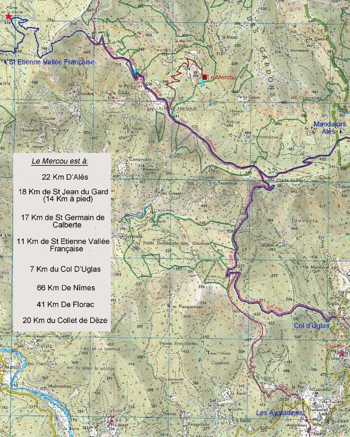Le Mercou En Cevennes Saint-Martin-de-Boubaux Eksteriør billede