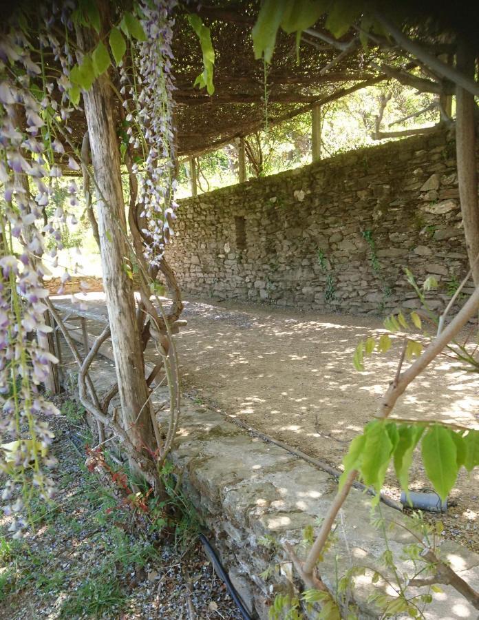Le Mercou En Cevennes Saint-Martin-de-Boubaux Eksteriør billede