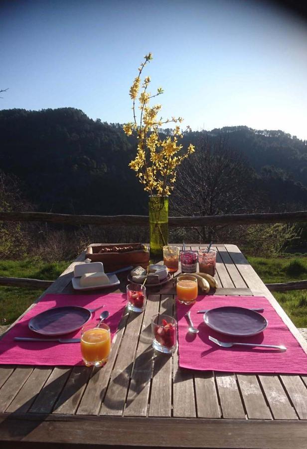 Le Mercou En Cevennes Saint-Martin-de-Boubaux Eksteriør billede